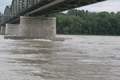 Die Donau kurz vor dem Höchststand am 13.9.2007